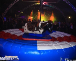 Bullriding Party_1